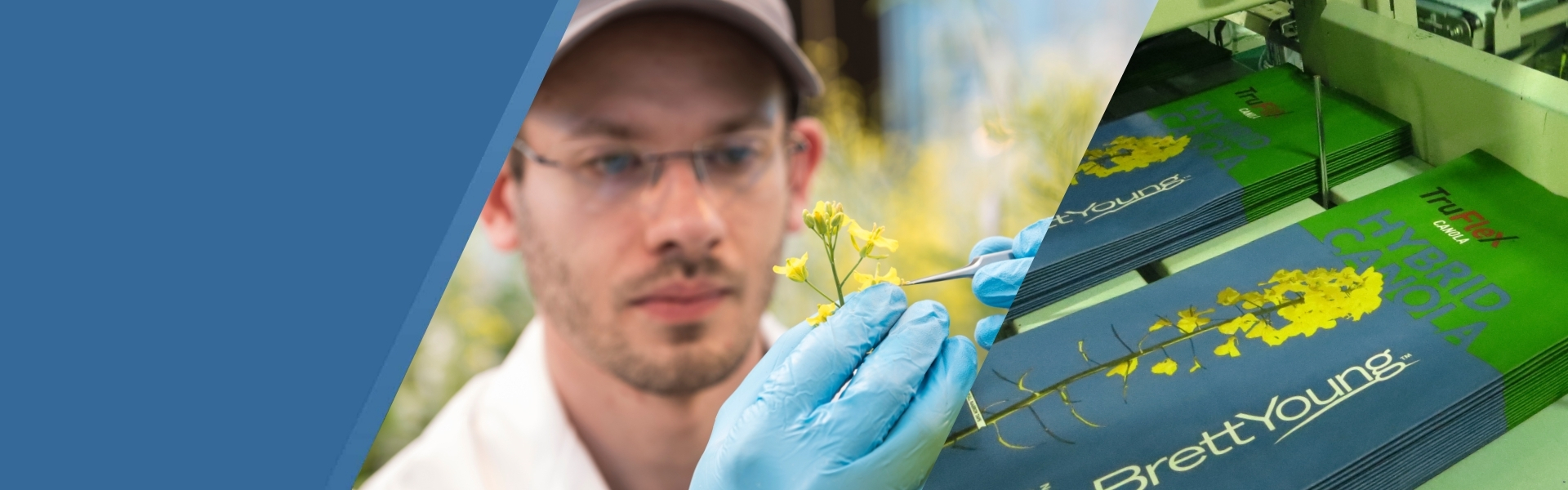 Agricultural Seed & Crop Inputs Agricultural Seed & Crop Inputs