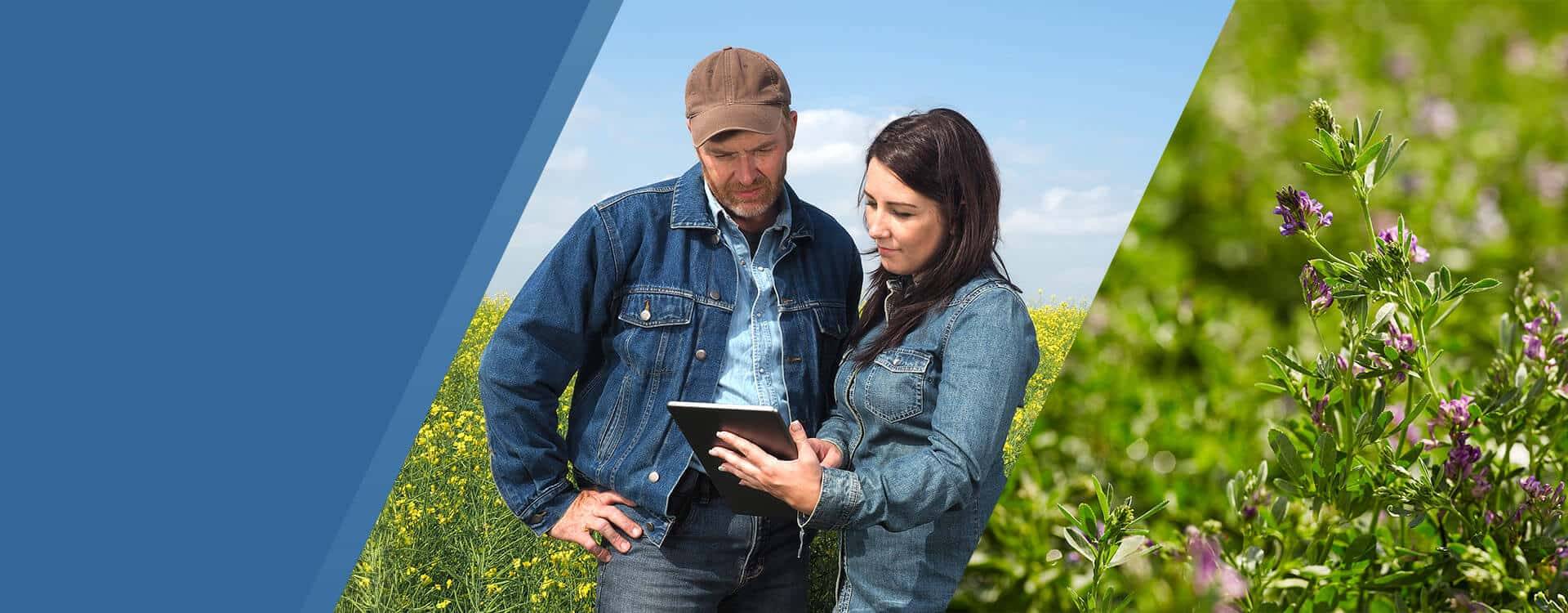 Agricultural Seed & Crop Inputs Agricultural Seed & Crop Inputs