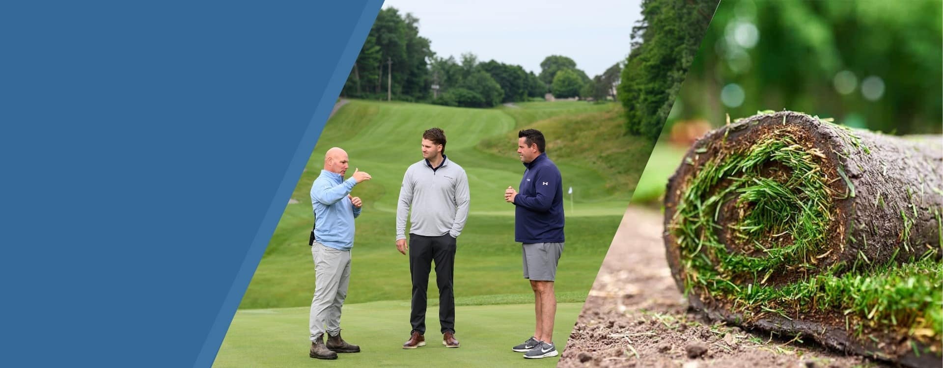 Professional Turf Professional Turf