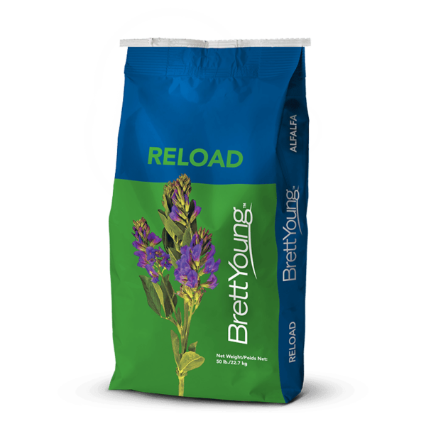 Reload Alfalfa
