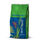 HAYWIRE OATS