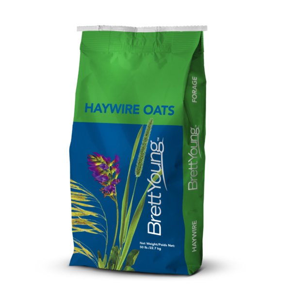 HAYWIRE OATS