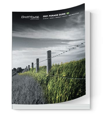 Guides_Product_Forage