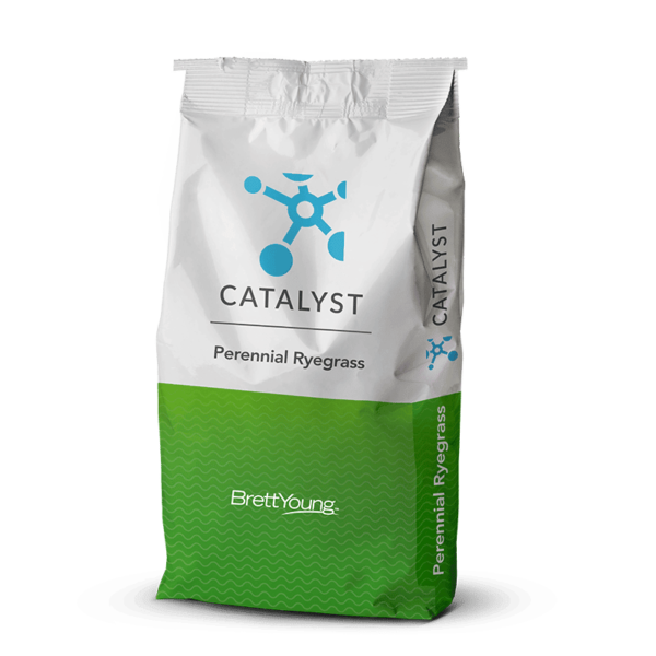 Catalyst Perennial Ryegrass
