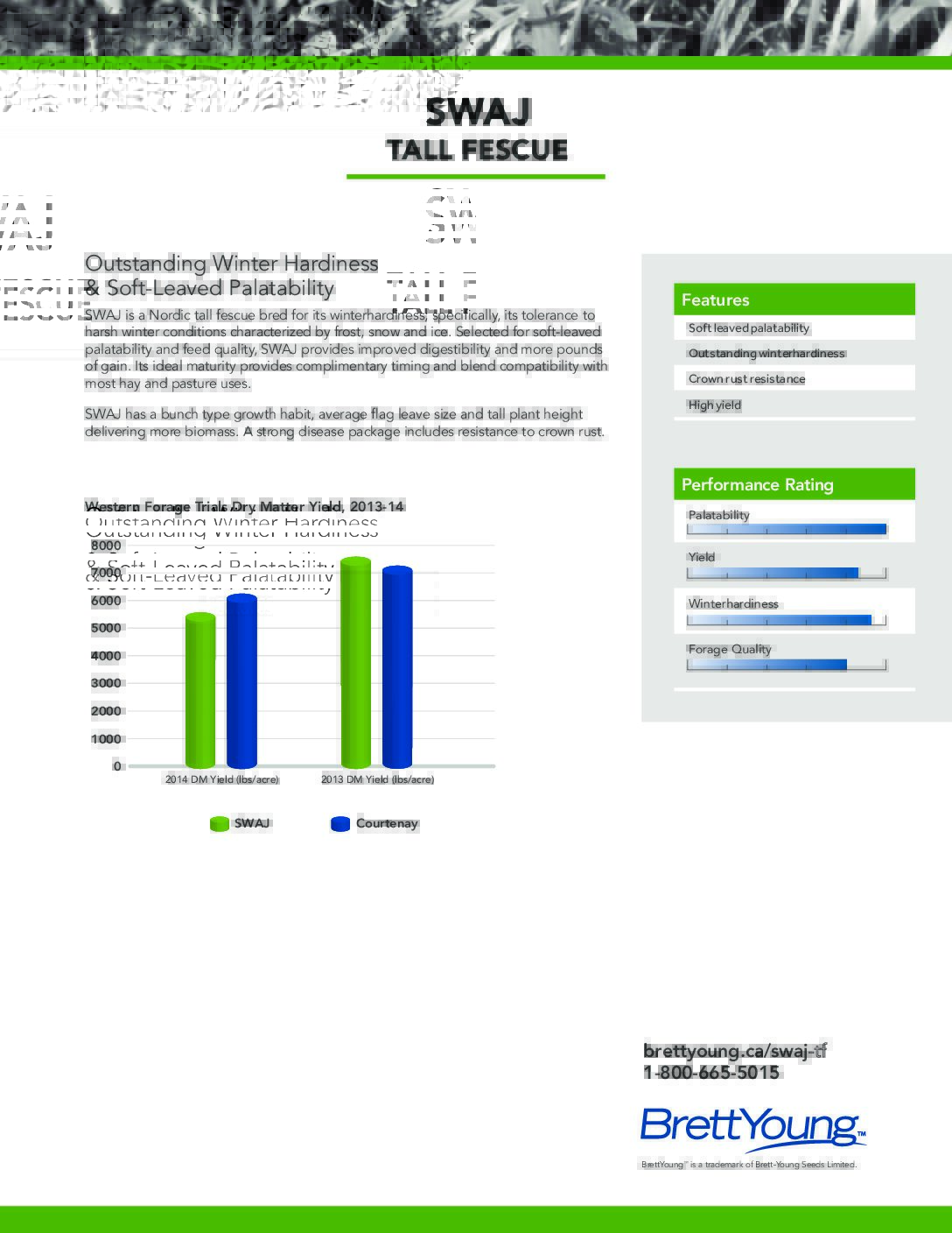 SWAJ Tall Fescue Tech Sheet