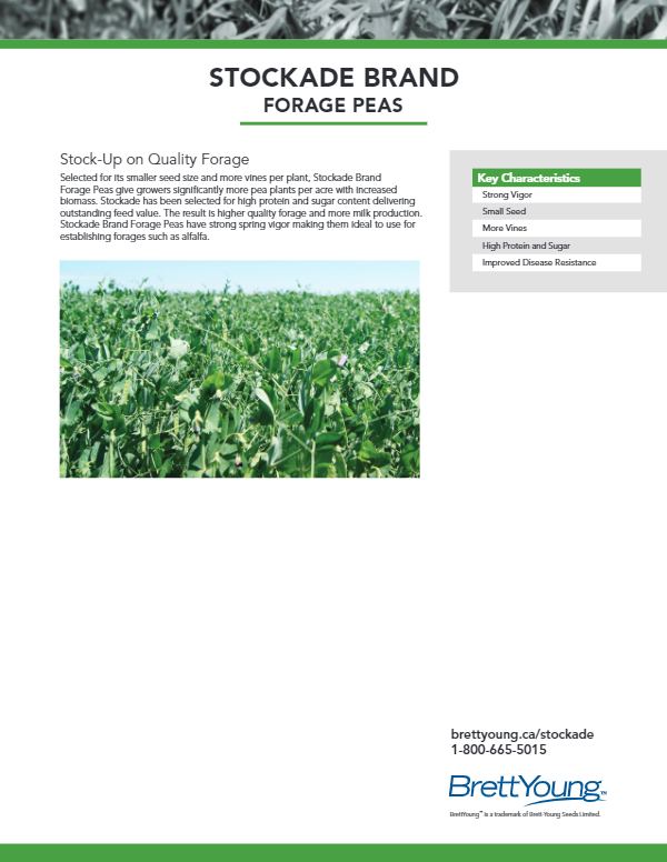 Stockade Peas Tech Sheet