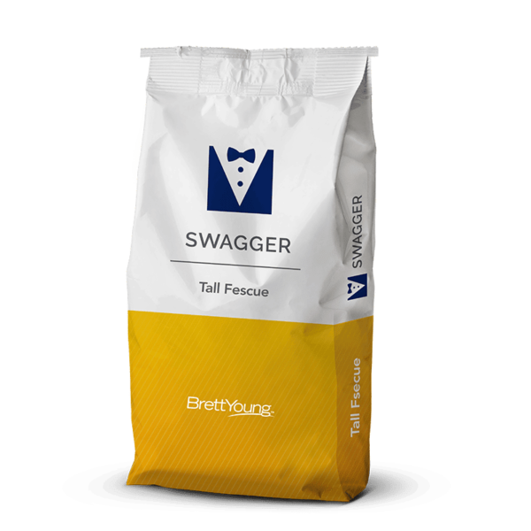 Swagger Tall Fescue