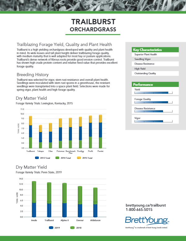 Trailburst Orchardgrass Tech Sheet