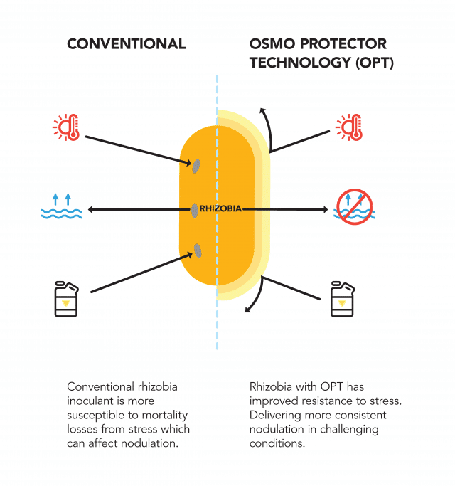 Osmo Protector Technology