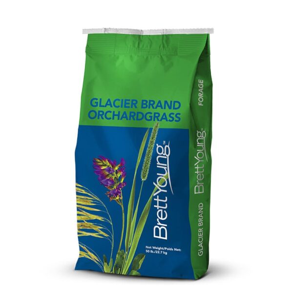 Glacier Brand Orchardgrass