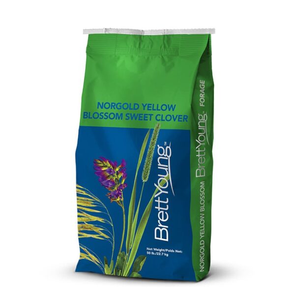 Norgold Yellow Blossom Sweet Clover