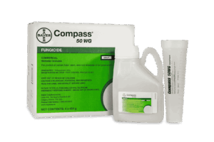 BAYER Compass