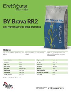 BY Brava RR2 Tech Sheet