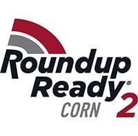Roundup Ready Corn 2 – Colour
