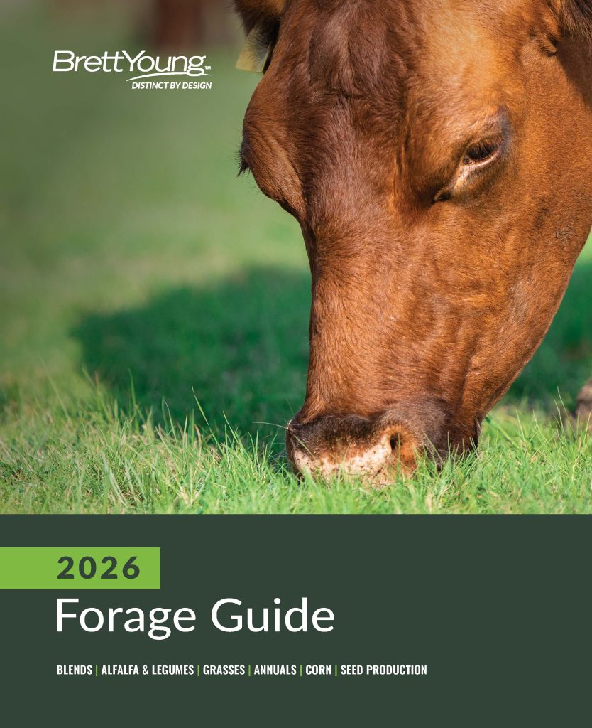 Forage Guide