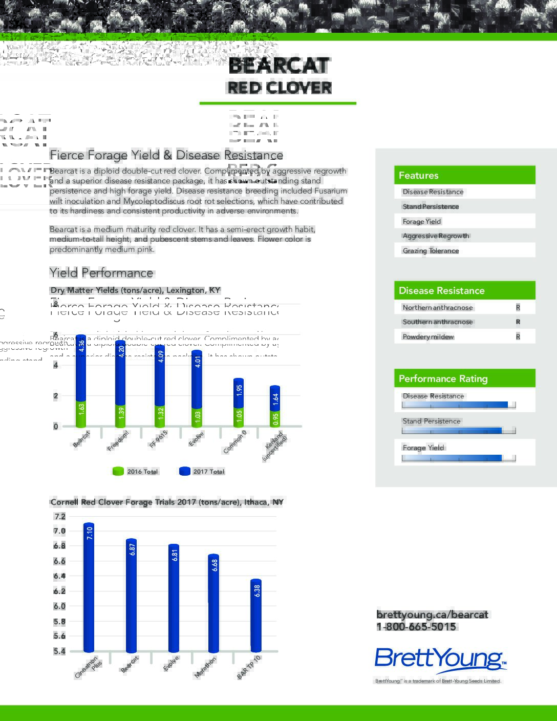 Bearcat Double Cut Red Clover Tech Sheet