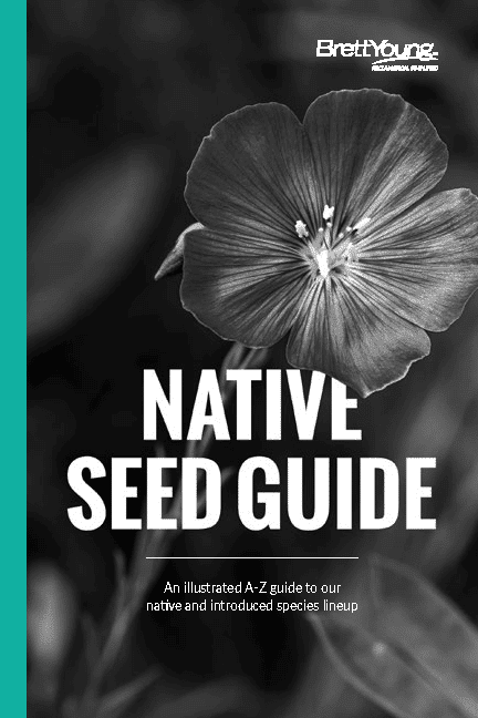 Brett Young Native Seed Guide-Digital-Spreads_0_Page_01