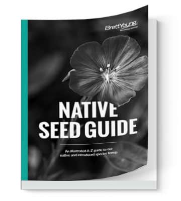 Native Seed Guide