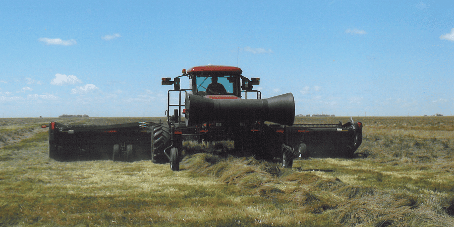 swather driving through a seed production field