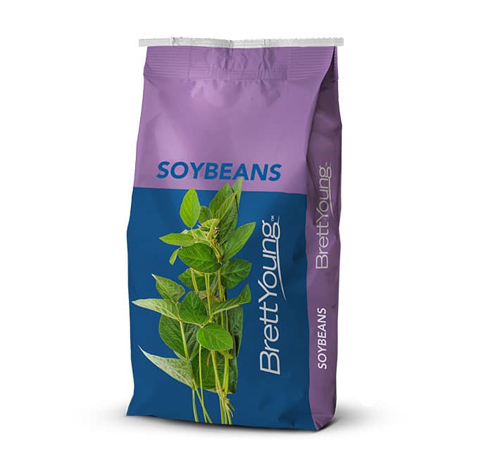 Soybean bag