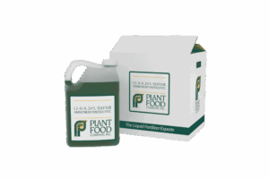 Thiosulfate d'ammonium