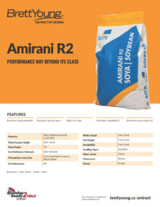 Amirani Techsheet
