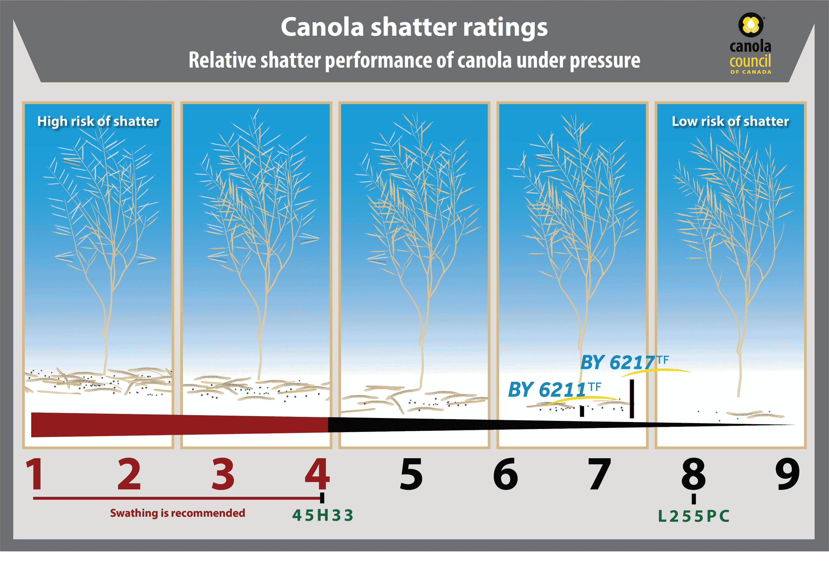 Canola_Shatter_Ratings Screens
