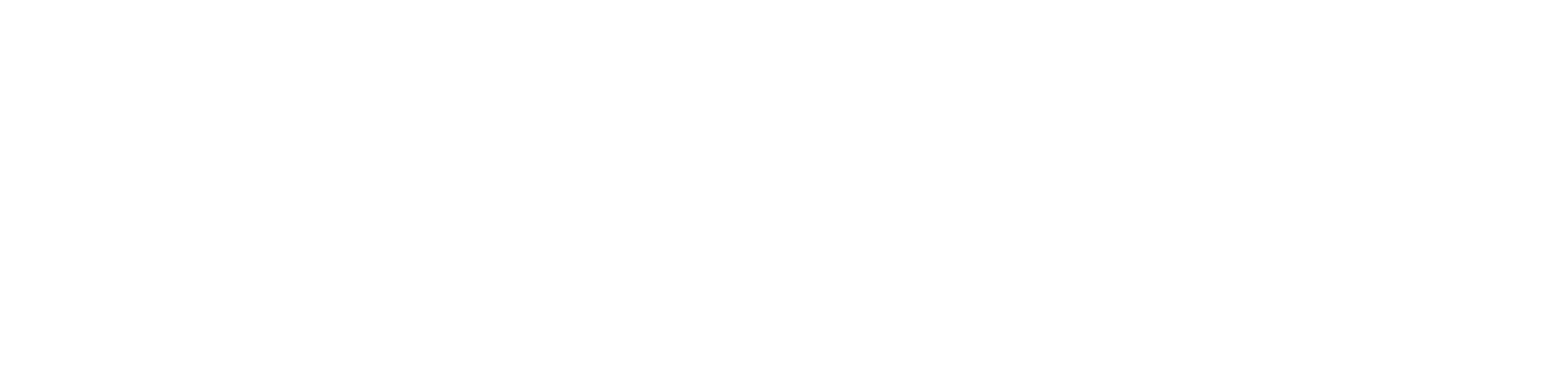 BrettYoung-logo