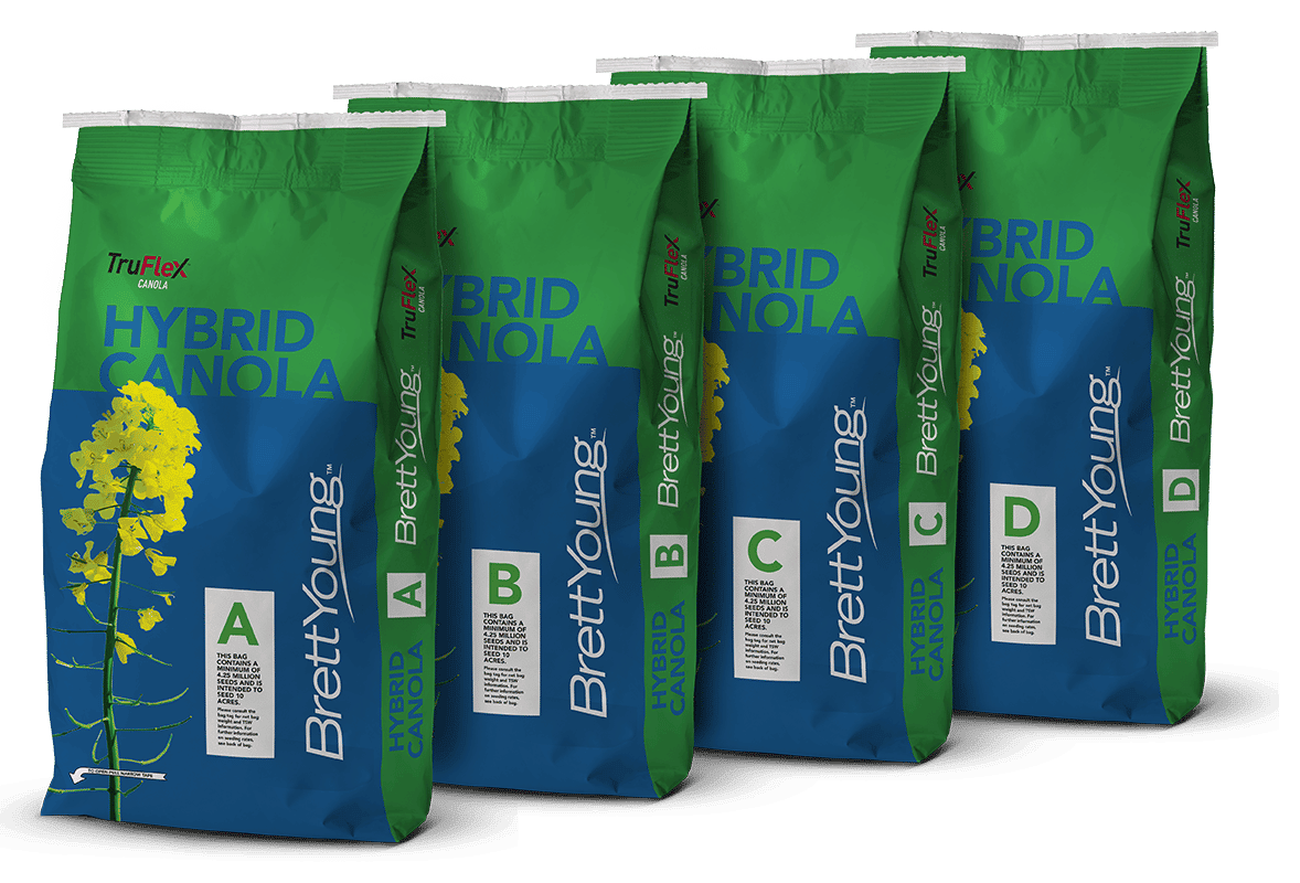 SBSC Lineup Canola Bags