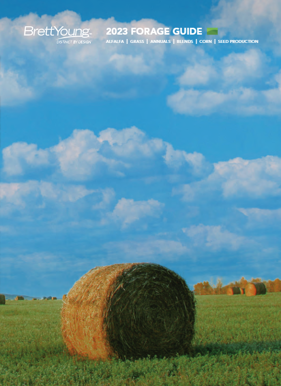 2023 forage guide cover bales in hay field