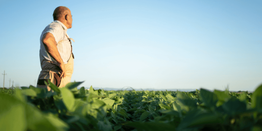 man standing in his field