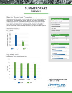 Summergase Timothy Tech Sheet