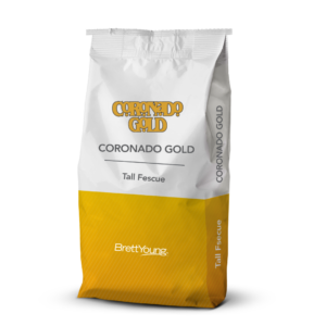 CORONOADO GOLD