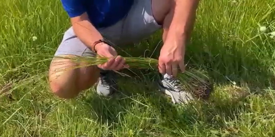 holding grasses