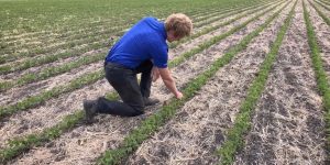 man in field