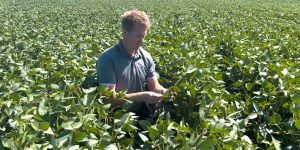 soybean maturity rating