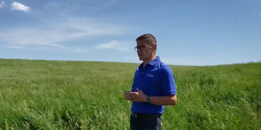 nutrient removal in forages