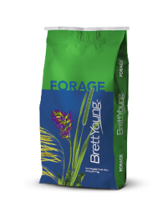 Forage Grass Poa Annua Seeds/Blue Grass Seeds/ Kentucky Bluegrass Seeds for  Planting - China Seeds, Forage Seeds