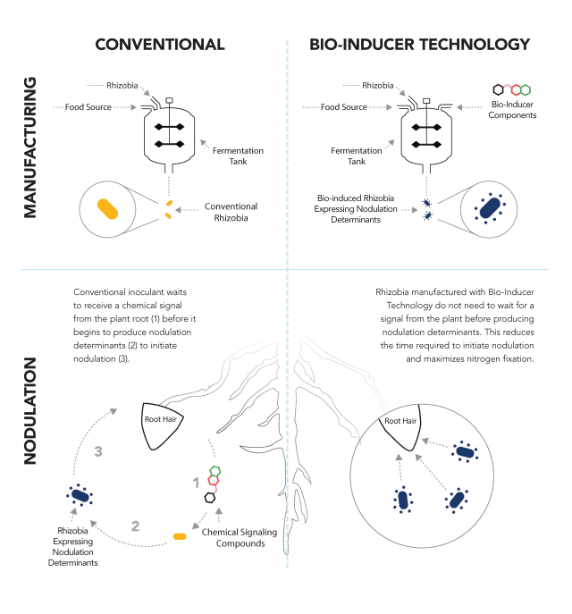 BioInducer Technology