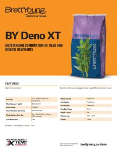 BY Deno XT Techsheet