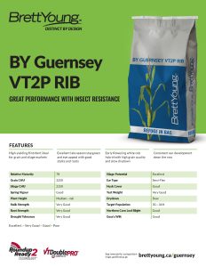 BY Guernsey VT2P RIB Techsheet