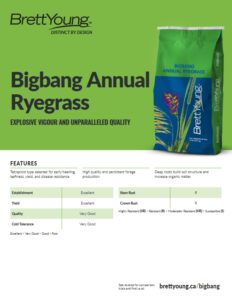 Bigbang Annual Ryegrass Techsheet