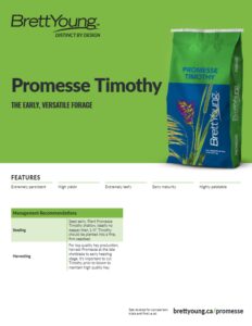 Promesse Timothy Techsheet