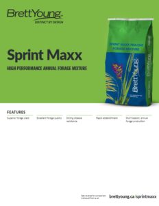 Sprint Maxx Techsheet
