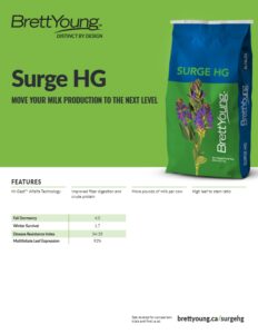 Surge HG Techsheet