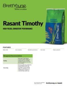 Rasant Timothy Techsheet