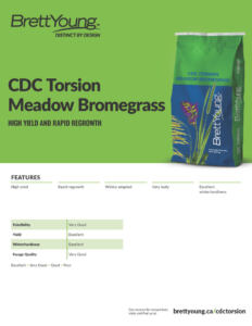 CDC Torsion Techsheet
