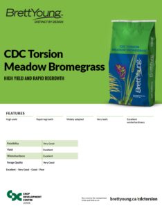 CDC Torsion Techsheet