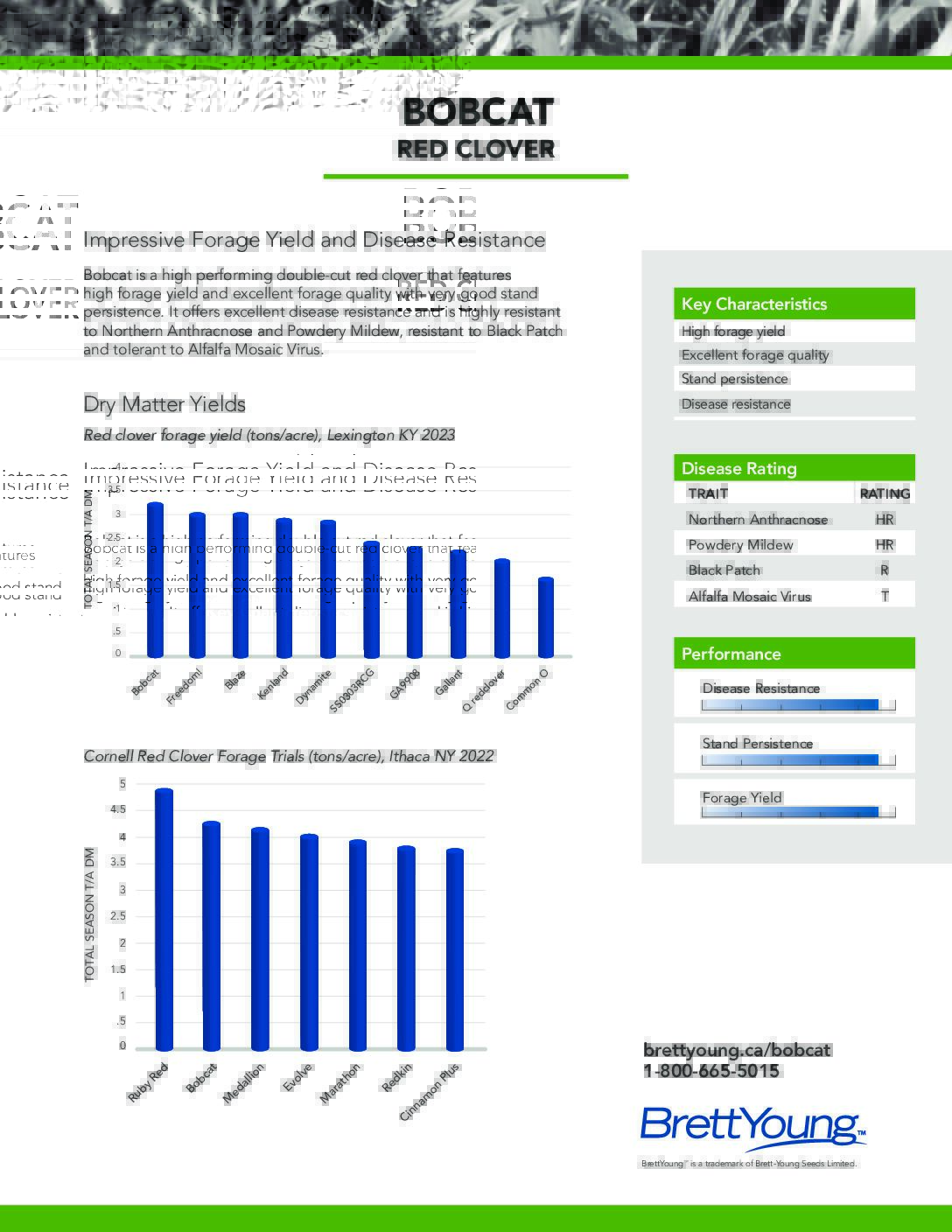 Bobcat Techsheet
