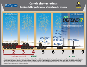 Canola Shatter Ratings